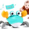 Bébé crabe rampant à contrôler