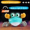 Bébé crabe rampant à contrôler