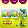 Œuf dinosaure dinosaure à faire éclore pour enfants de Dan & Darci