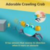 Bébé crabe rampant à contrôler
