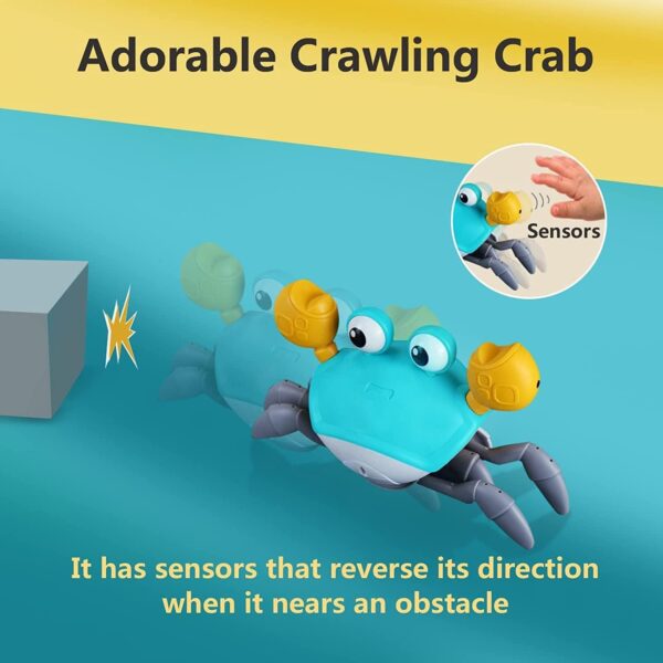 Bébé crabe rampant à contrôler