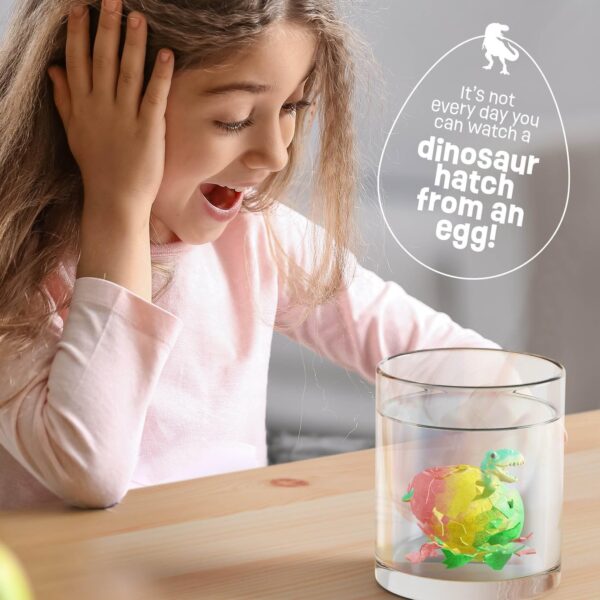 Œuf dinosaure dinosaure à faire éclore pour enfants de Dan & Darci