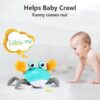 Bébé crabe rampant à contrôler