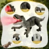 Remote Control Dinosaur Animal Toy