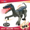 Remote Control Dinosaur Animal Toy