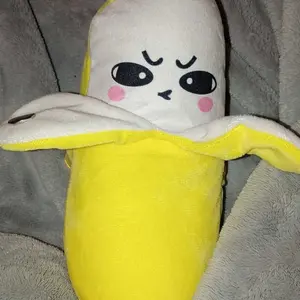 Interactive Music Plush Toy Set