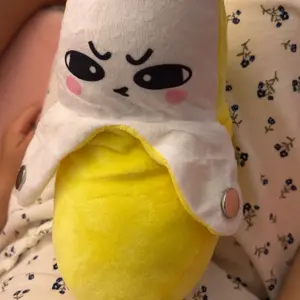 Interactive Music Plush Toy Set
