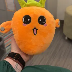 Interactive Music Plush Toy Set